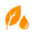 Nourishes